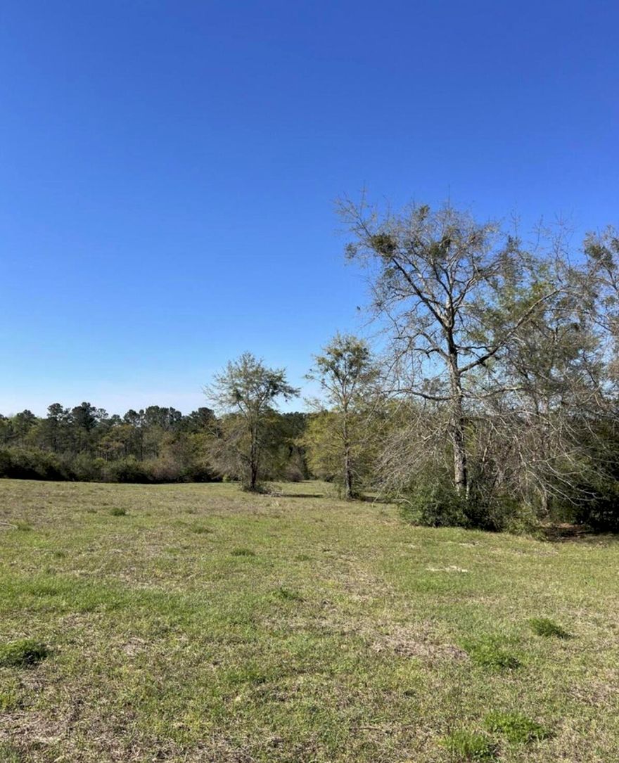 Three parcels included in this listing totaling 75 acres +- containing a huge 42x72 barn built on 8x8 timbers with towering 16 foot eaves with the convenience of power already in place. They are currently zoned agricultural and allows for one house per acre. The property is conveniently situated approximately 3.5 miles from the I-10 interstate exit, making it easily accessible. Additionally, it is only half a mile away from Vortex Springs, offering a beautiful natural attraction nearby. The land itself is a combination of cleared and naturally wooded areas, as well as a planted pines that should be ready for thinning in a few short years, adding equitable value and providing a diverse landscape for potential development or recreational use. Parcel #1808.00-000-000-003.000 and Parcel # 1808.00-000-000-002.000, and Parcel #1808.00-000-000-004.100