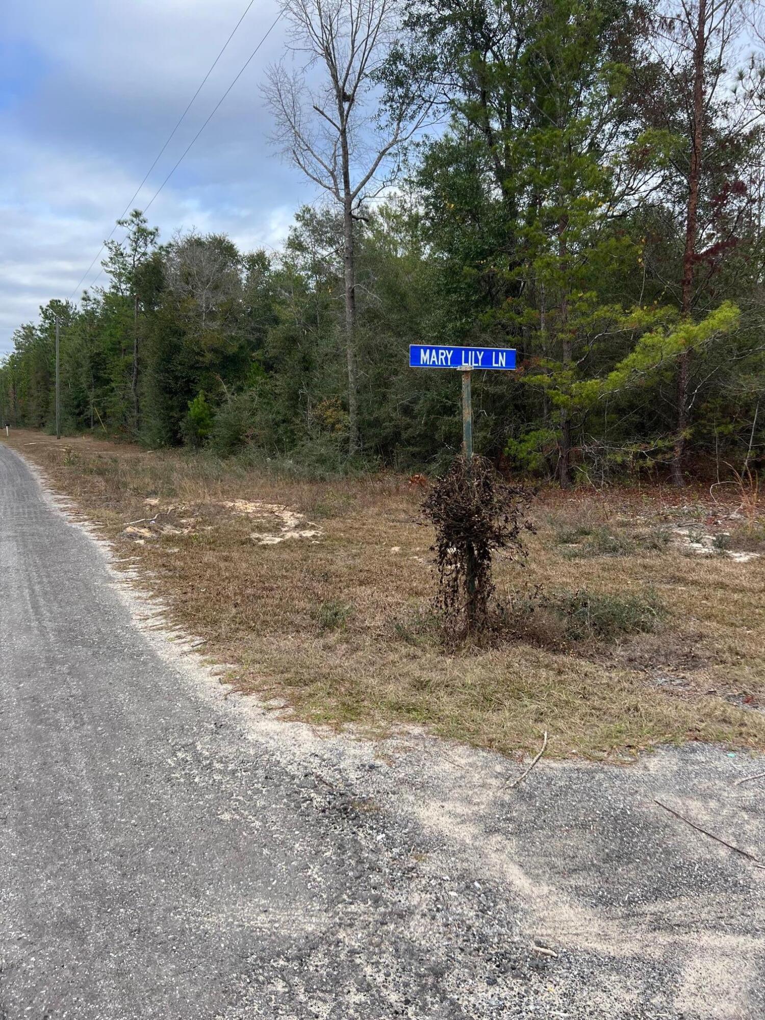 Great 1+/- acre parcel on county maintained road. Property is nice and level and would be perfect for your custom home or manufactured home. Frontage on Watson Rd and Mary Lily Lane. CHELCO power available at the road. Septic and Well would be required.