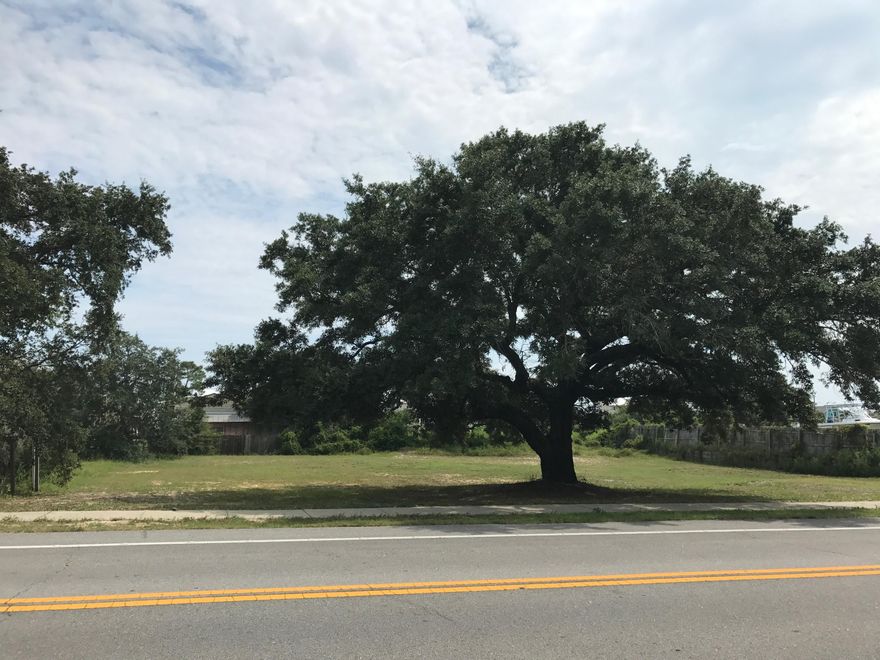 Commercial lot in a fantastic location on Gulf Beach Hwy. Located between the Back Gate of NAS and Perdido Key. This level lot features and amazing oak tree and an existing irrigation well located in the southwest corner of the lot.