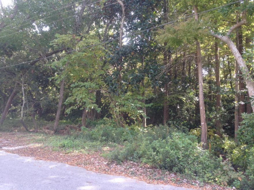 This is a fantastic piece of property! Whether you plan to build or to buy and hold don't miss out on this great investment opportunity.