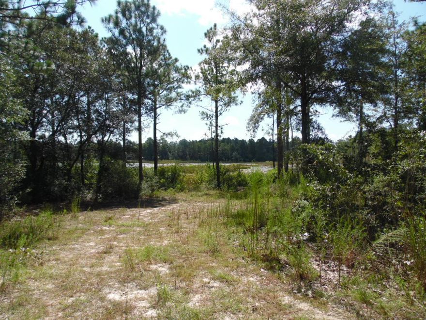 Are you looking for a private retreat just out side the city limits.?If so here it is 4.2 Acres on Lake Holley. This would be a great location to build your dream home.Call to schedule an appointment today !!