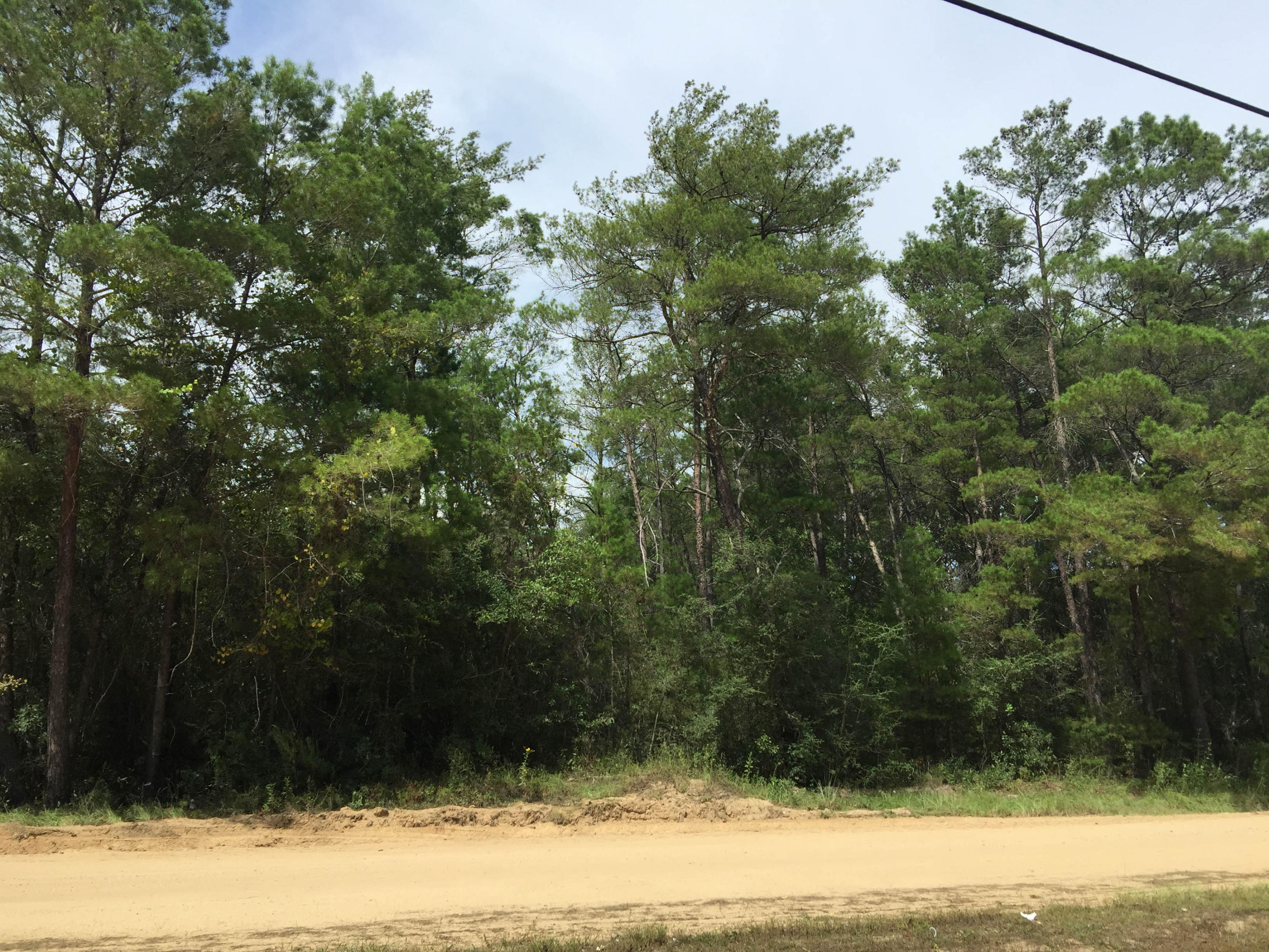 METES & BOUNDS - Land