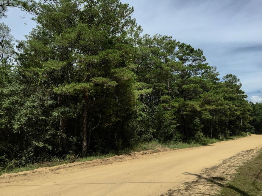 Beautiful wooded lot in Freeport. Neighbors have city water & electric. Those of you looking to live close to town but still live in the country will want to see this level lot. There is excellent hunting in nearby forests. Eglin AFB is also fairly close and is easily accessible. The lot is in flood zone ''X'' which means that the lot is nicely elevated. Freeport offers easy access to popular destinations such as Destin and South Walton's Scenic Highway 30-A.
