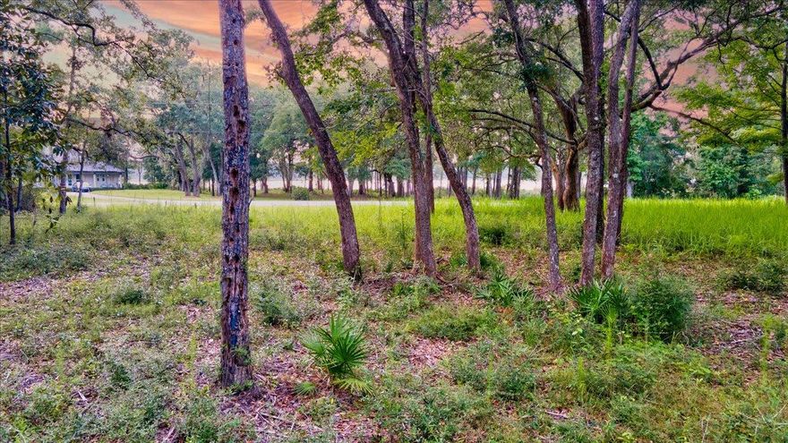 Accepting Back-up Contracts...Presenting a strikingly beautiful homesite in the booming Freeport area.  New owners will appreciate the captivating views of Lagrange Bayou Waterway from the front while delighting in stately oaks, towering pines, and noble magnolias adorning the remainder.  The trees on property are perfectly positioned to frame your new home as if by purposeful intent. The water views are protected by a charming waterfront park enjoyed by owners who kayak or fish, or who simply sit and be mesmerized by dolphins that sometimes frolick offshore.  The property has been ever so slightly cleared so that you can plainly see all it has to offer. Be sure to check out the fly-thru video for a closer look.  Building plans have been developed and may also be purchased