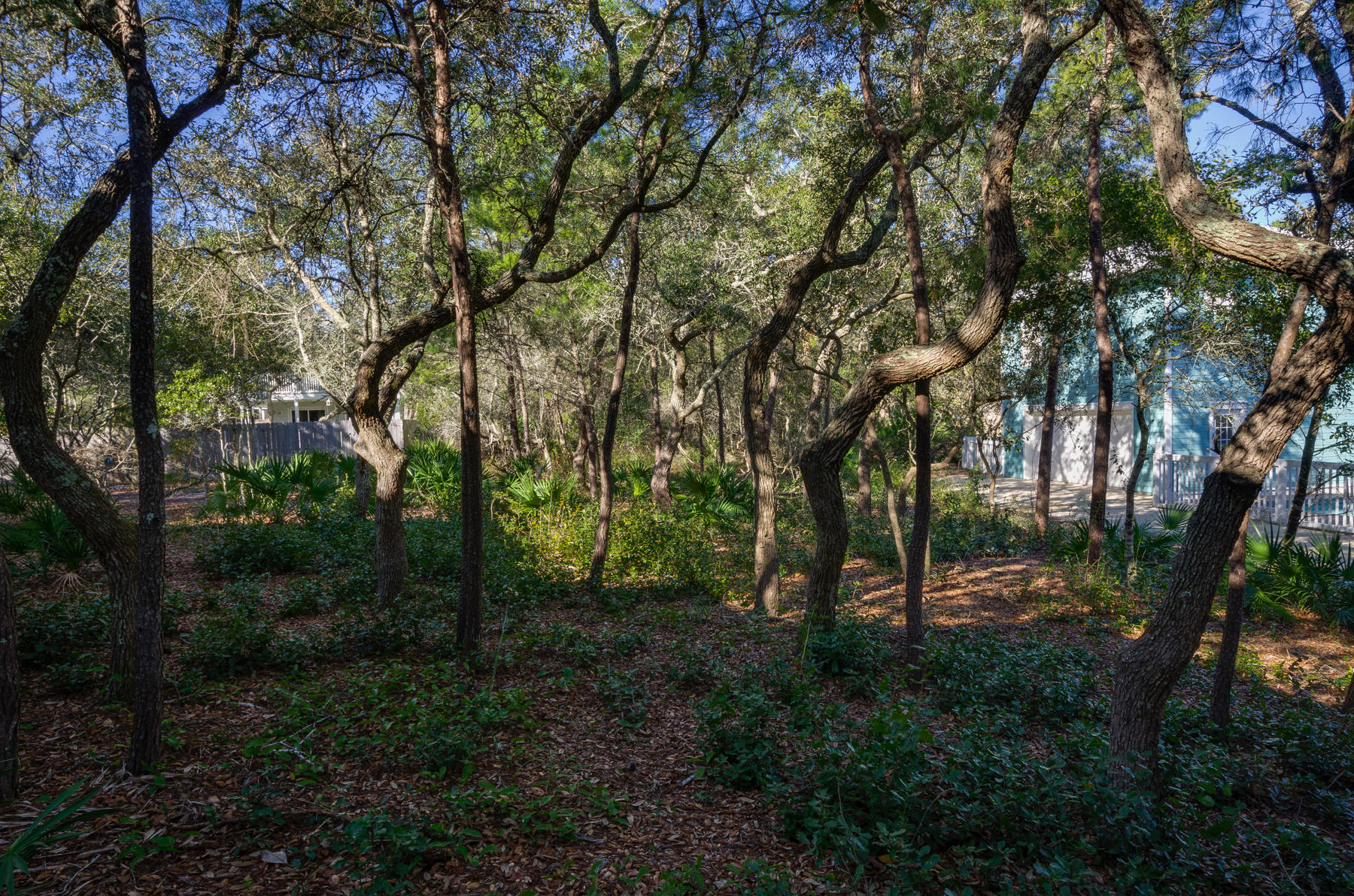 Gorgeous deep, wooded lot in Kokomo Kove, part of Crystal Beach. This 50 x 150 lot is high and near the end of the cul-de-sac. Deeded, private community beach access across from subdivision! It's a three minute walk to dazzling white Gulf of Mexico beach and emerald blue waters! This Crystal Beach lot has enough room for a pool or carriage house. If you want to live in an authentic Destin Florida beach community, five minutes from Destin Commons, Whole Foods, shopping, dining like Cuvee Bistro, Tuscany's and more, this is the place for you. We have a builder and home designer if you are ready to build your new cottage soon! Buyer to do feasibility study to ensure lot meets desired use. Buyer to verify all data.