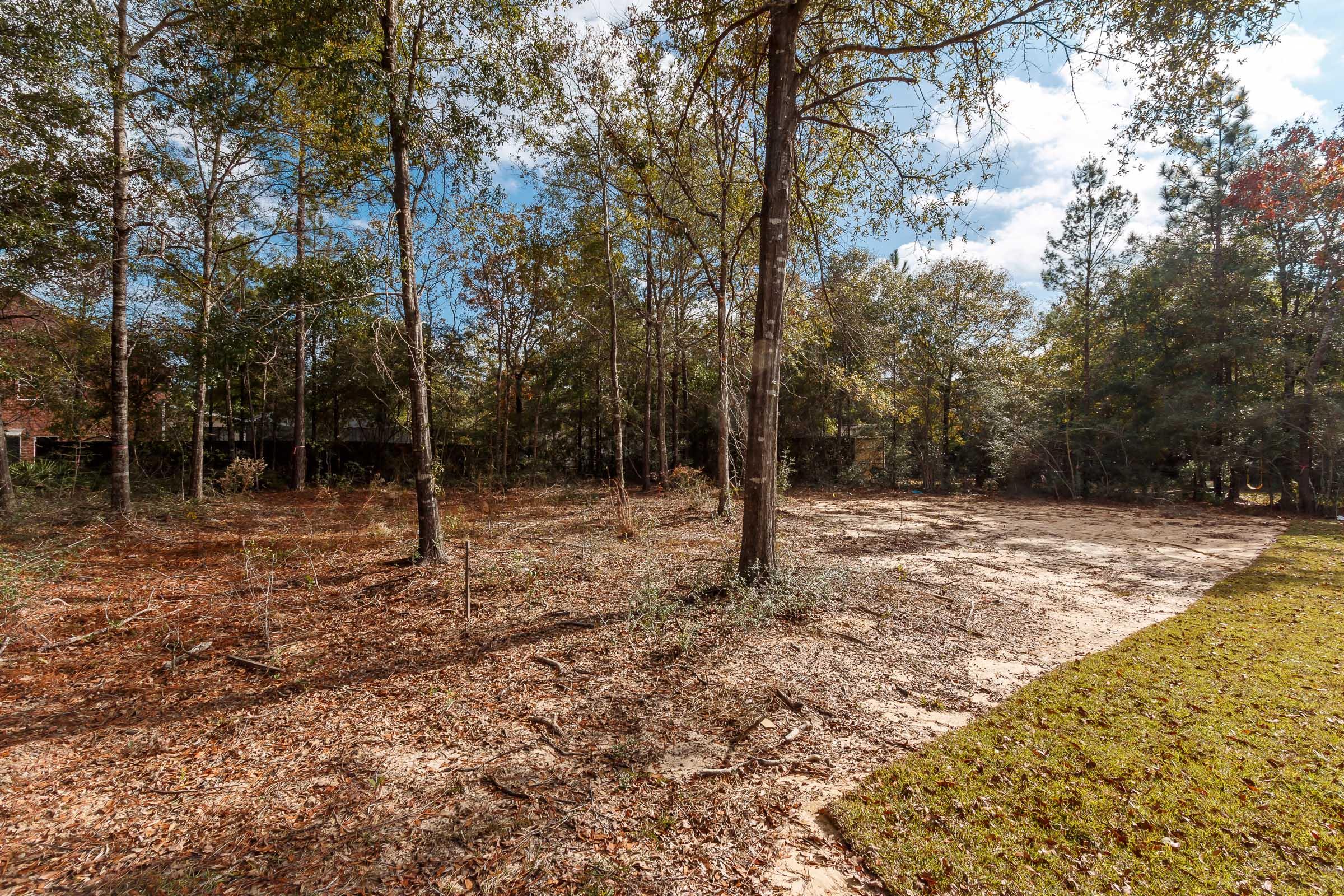 CAMELLIA COVE - Residential