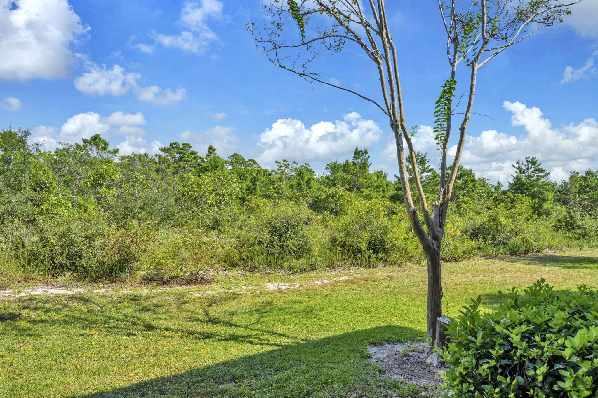 TOPSAIL VILLAGE - Residential