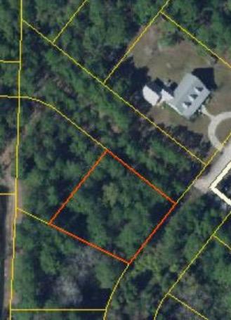 This lot priced right for builders or for your perfect custom home. Very close to the boat launch at Cessna Landing and only a few miles to the beach. The lot is buildable and will come with the wetlands delineation and environmental assessment which is required by Walton County to build on. The lot has also been cleared of underbrush. Centrally located close to Destin/Miramar Beach and the 30A area. This is a great area to build your affordable home.