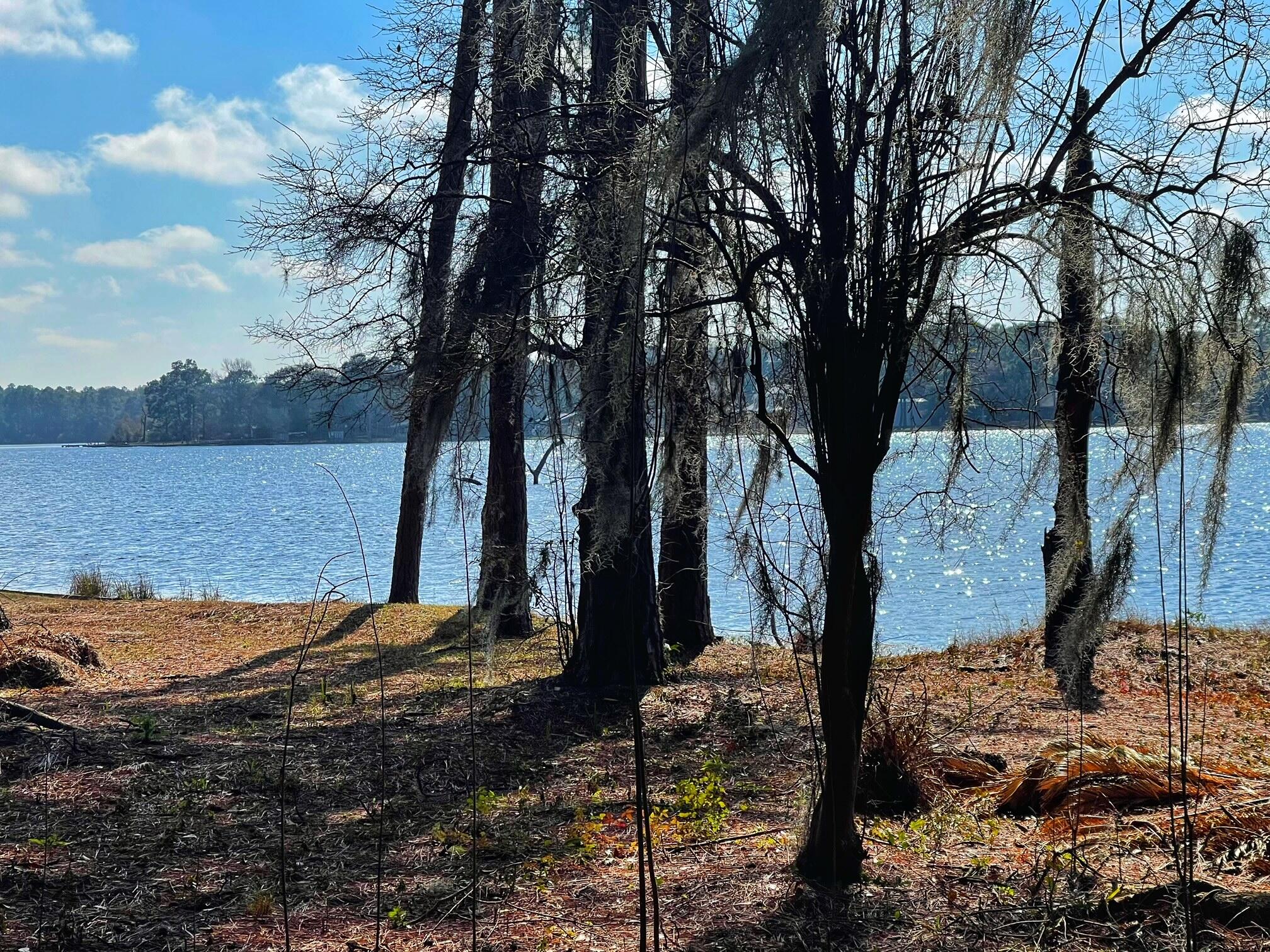 Looking for peace and quiet? This WATERFRONT lot has a small 1 bedroom 1 bath cabin with gorgeous views. Dock for your fishing pleasure on Juniper Lake. There are no home owner association fees. The State of Florida maintains the dam and shoreline. Buyer to verify all measurements.