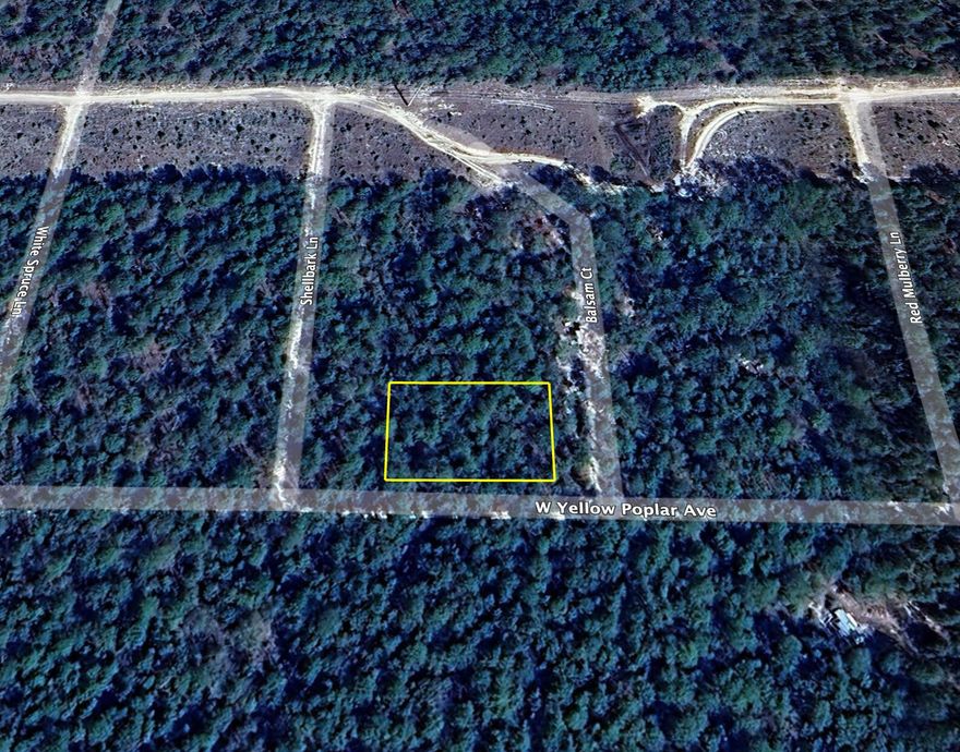 Seller Finance Available 50% down 3 yr with monthly payments. Wooded Double Lot in a Fast growing area with No HOA and Minimal Restrictions. Modular homes allowed. Easy access to the I-10 & CR 285 south making it a great location.Zoning is Rural Residential which allows Single family residential, No mobile homes shall be erected on any of the lots in Oakwood Hills, Unit 2. The lot is raw , no tap in fees have been paid, septic needed.