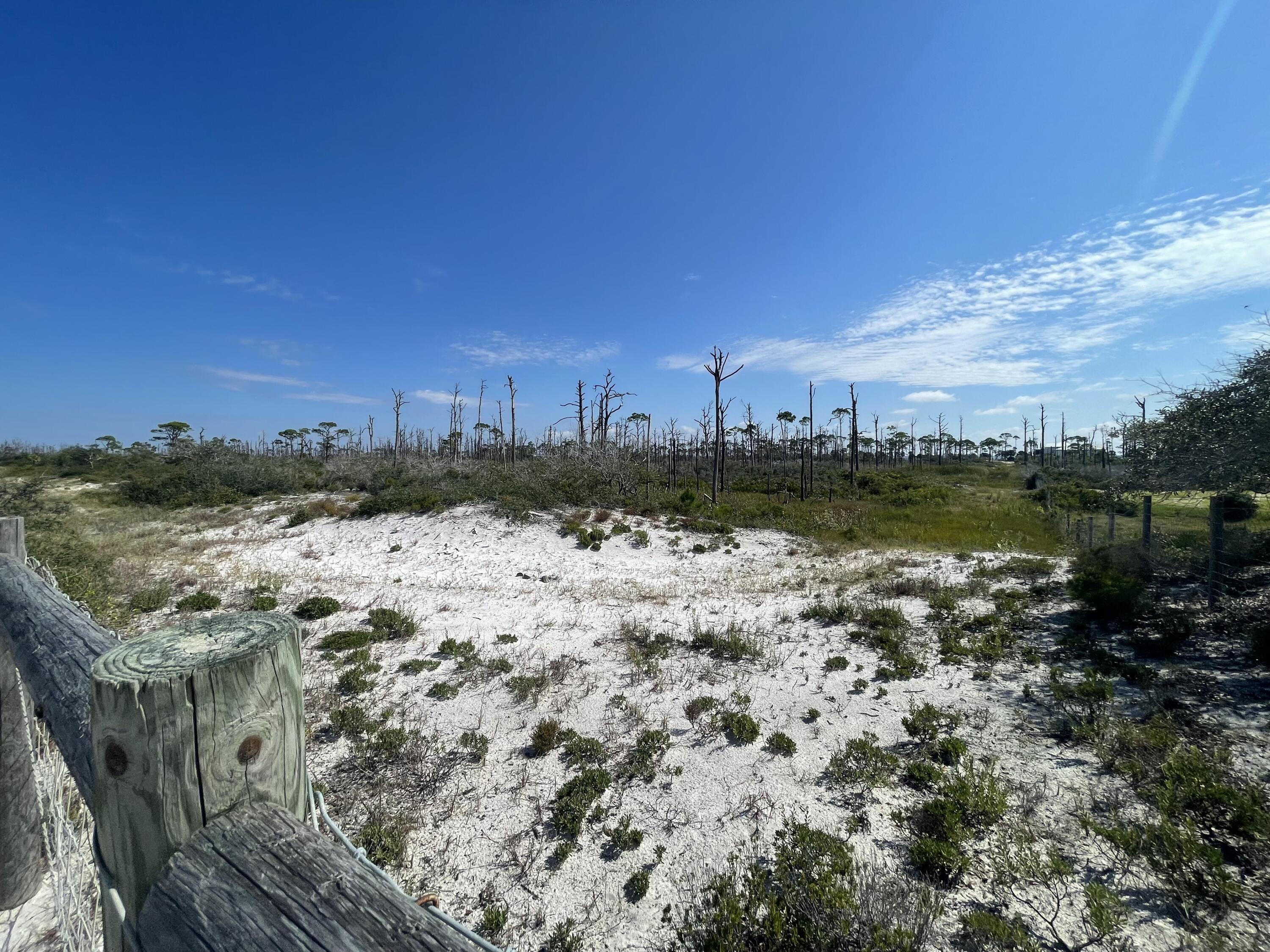 The Bluff at Secluded Dunes - Land