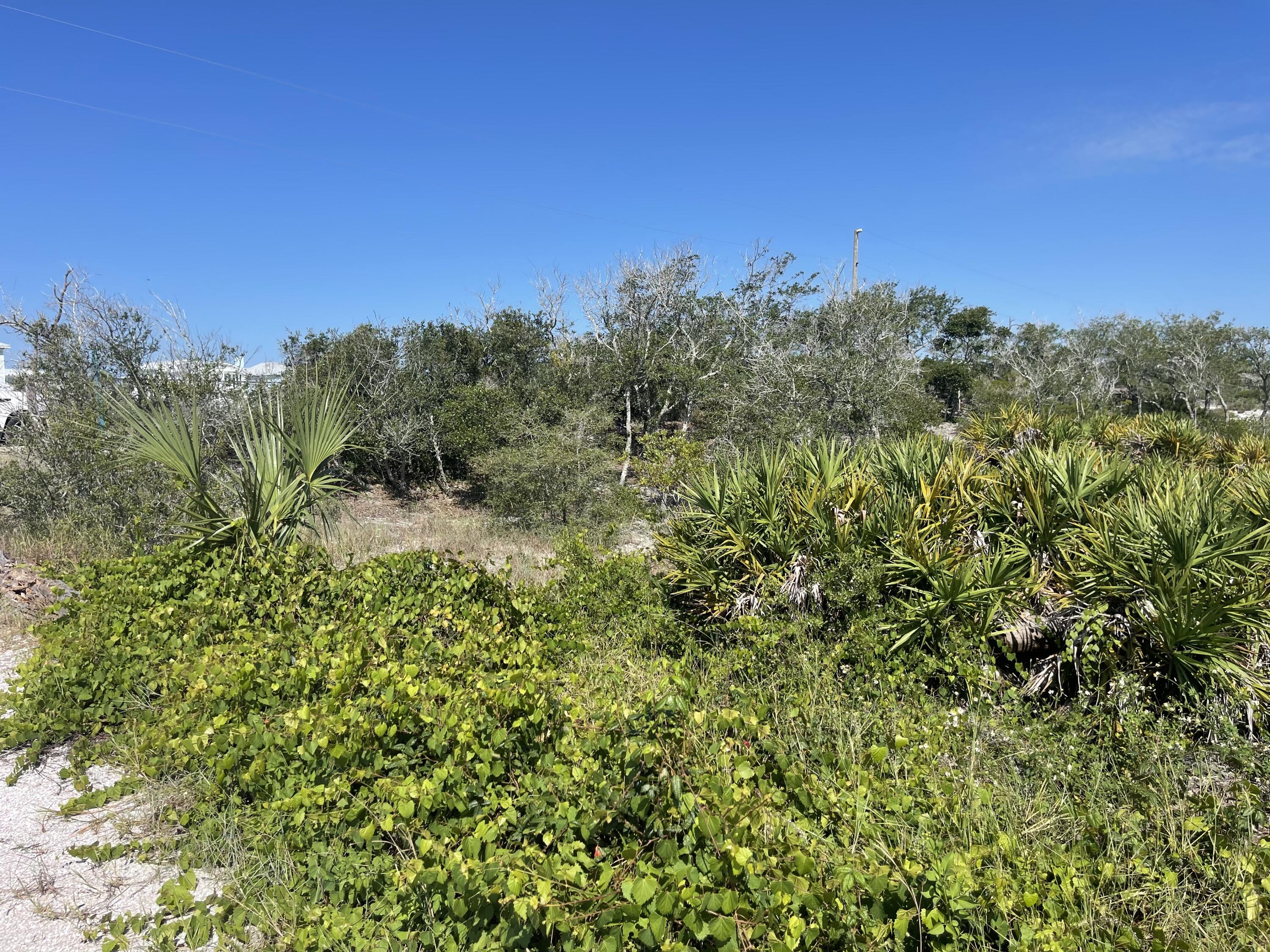 The Bluff at Secluded Dunes - Land