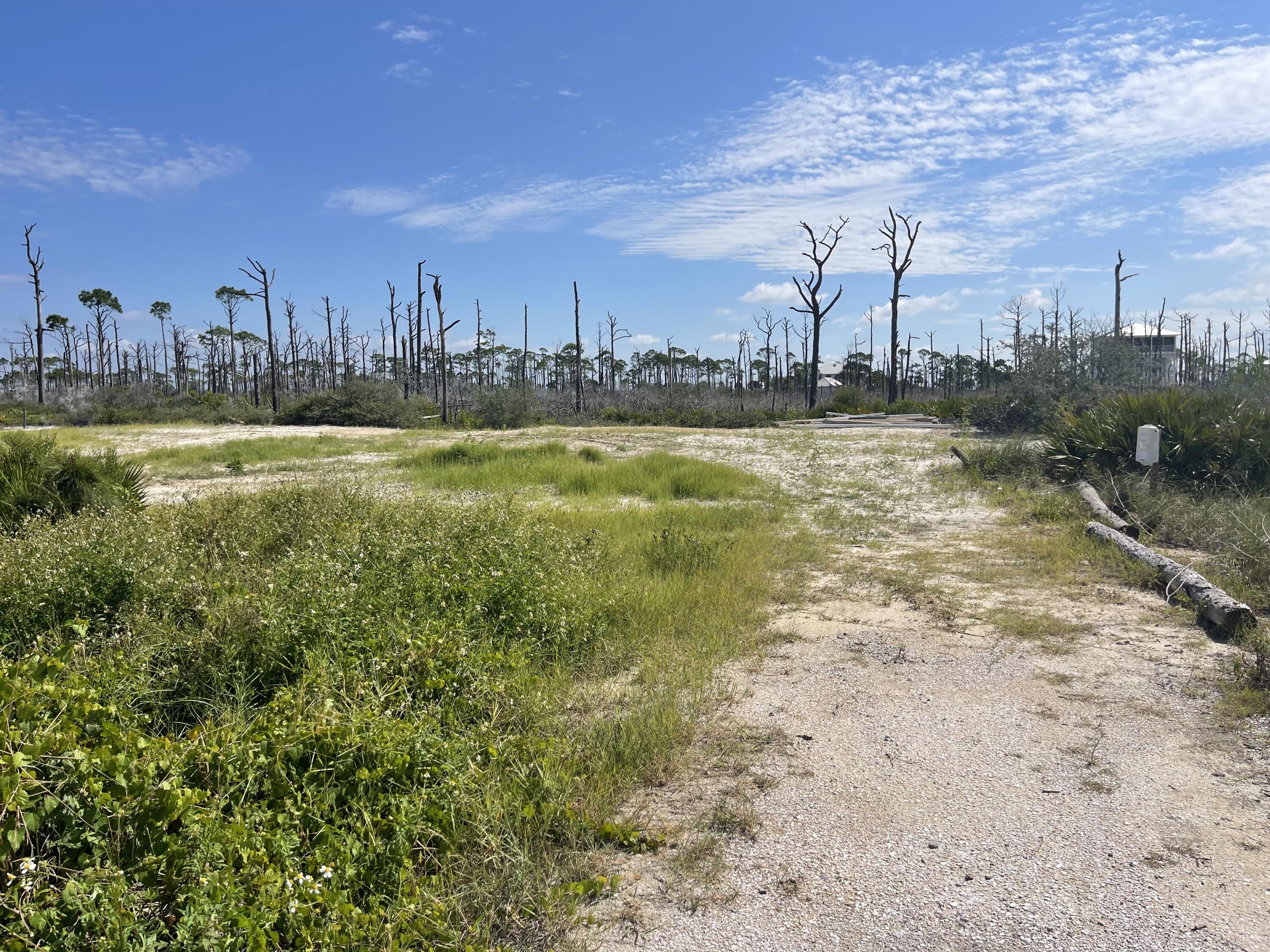 NORTH CAPE SAN BLAS BUILDING SITE WITH POSSIBLE OWNER FINANCING!!! Located less than 80' from the state park with NO HOA or HOA FEES! Dedicated beach access with a boardwalk/dune walkover that meanders between beautiful old growth coastal oaks and palms. This elevated, platted, and vested lot at The Bluffs at Secluded Dunes affords views of the Gulf of Mexico to the west, a 4.5 acre wetland area to the rear, St Joseph State Park views to the north. Possible views of the bay as well depending upon elevation of home. Water tap already paid for and installed, city sewer available, electricity already on site. Site already is cleared and prepped with driveway installed. Get back to nature today! All dimensions were obtained per the recorded plat or the GulfPA site. Please verify if important