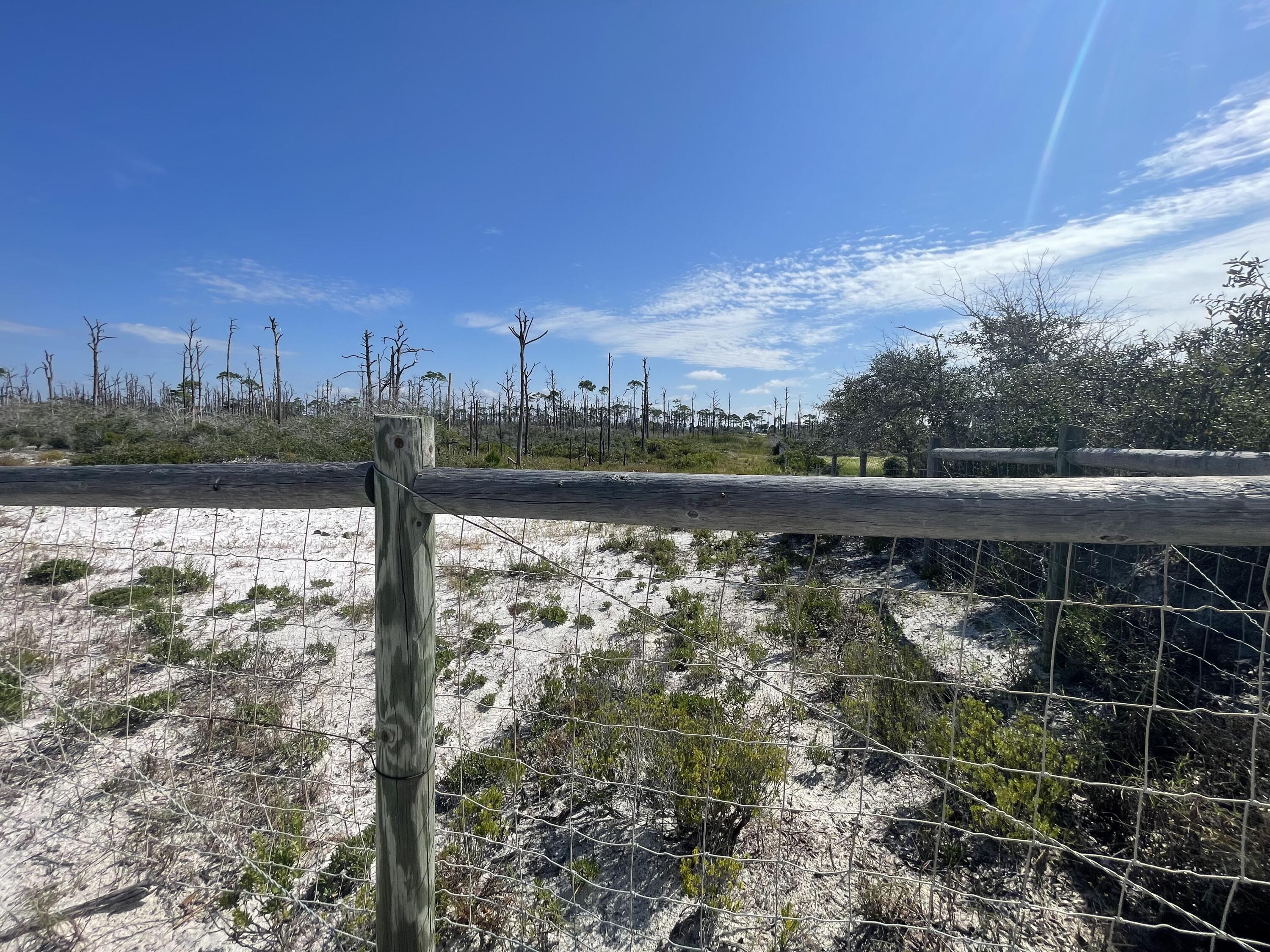 The Bluff at Secluded Dunes - Land