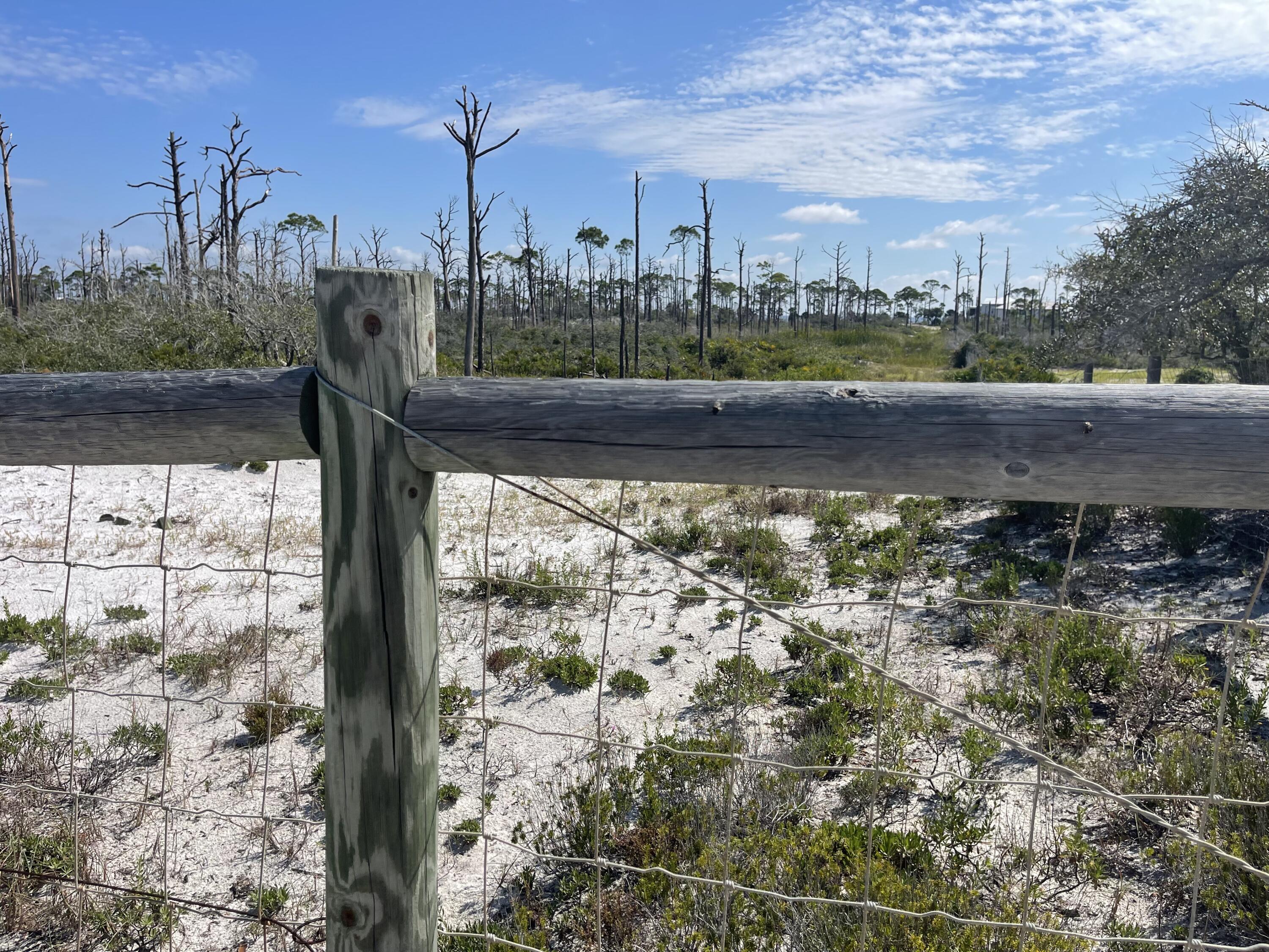 The Bluff at Secluded Dunes - Land