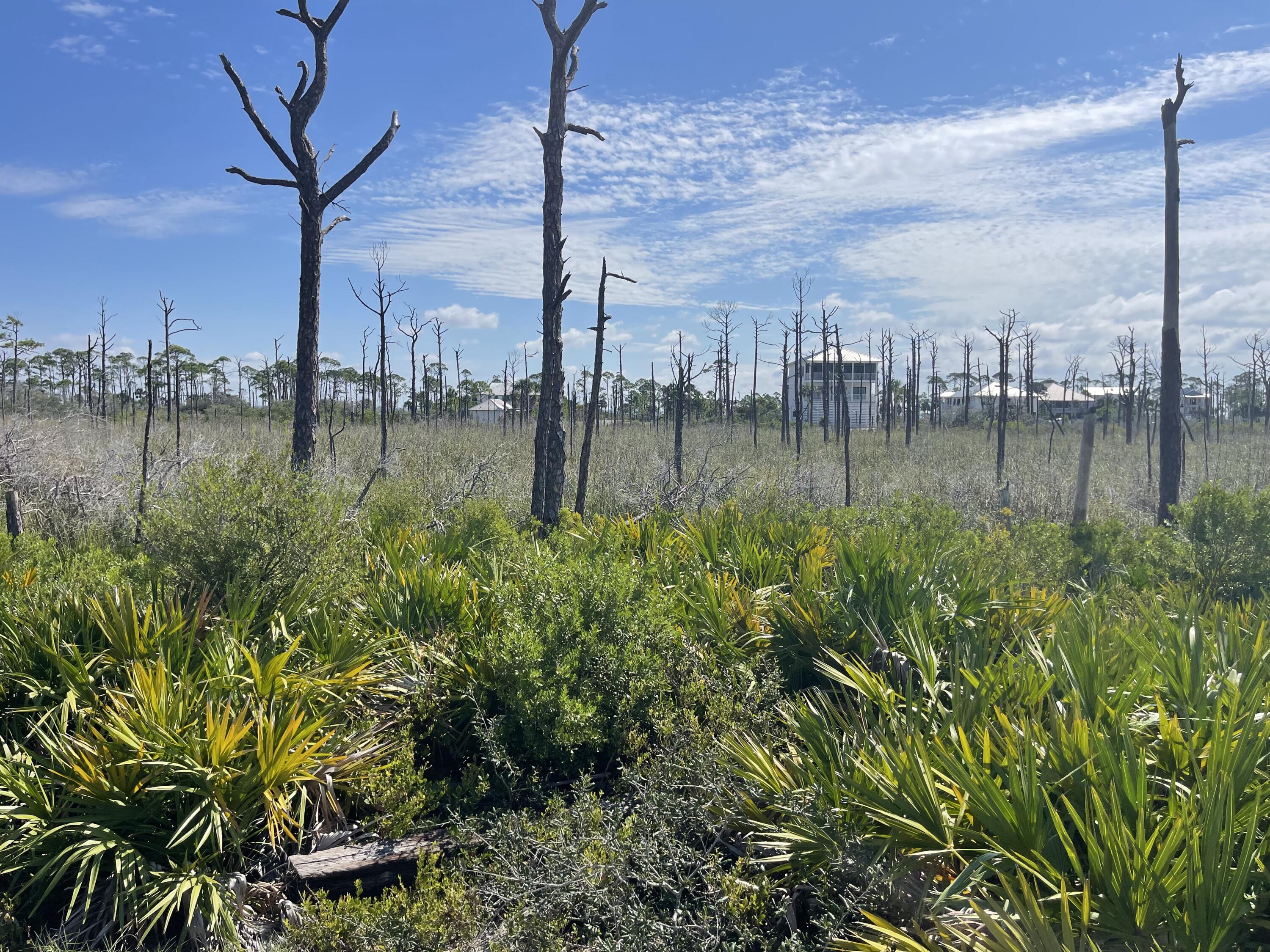 The Bluff at Secluded Dunes - Land