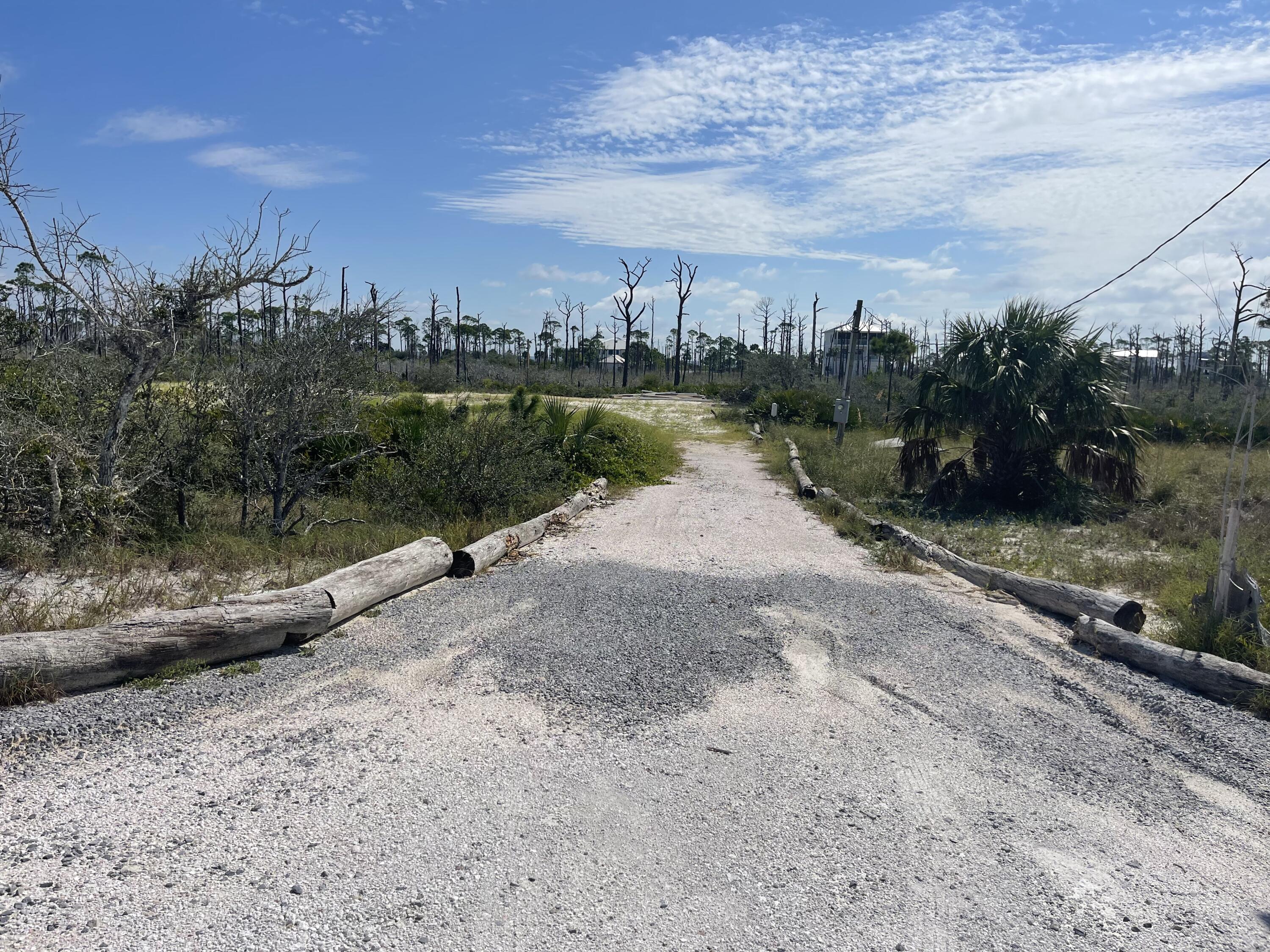 The Bluff at Secluded Dunes - Land