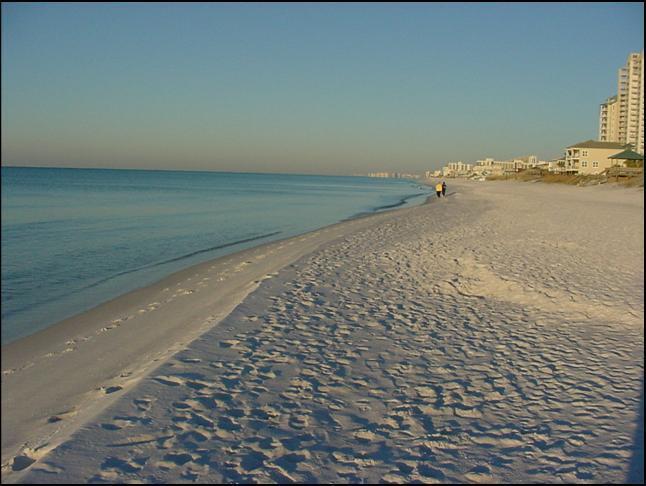GULF PINES - Land