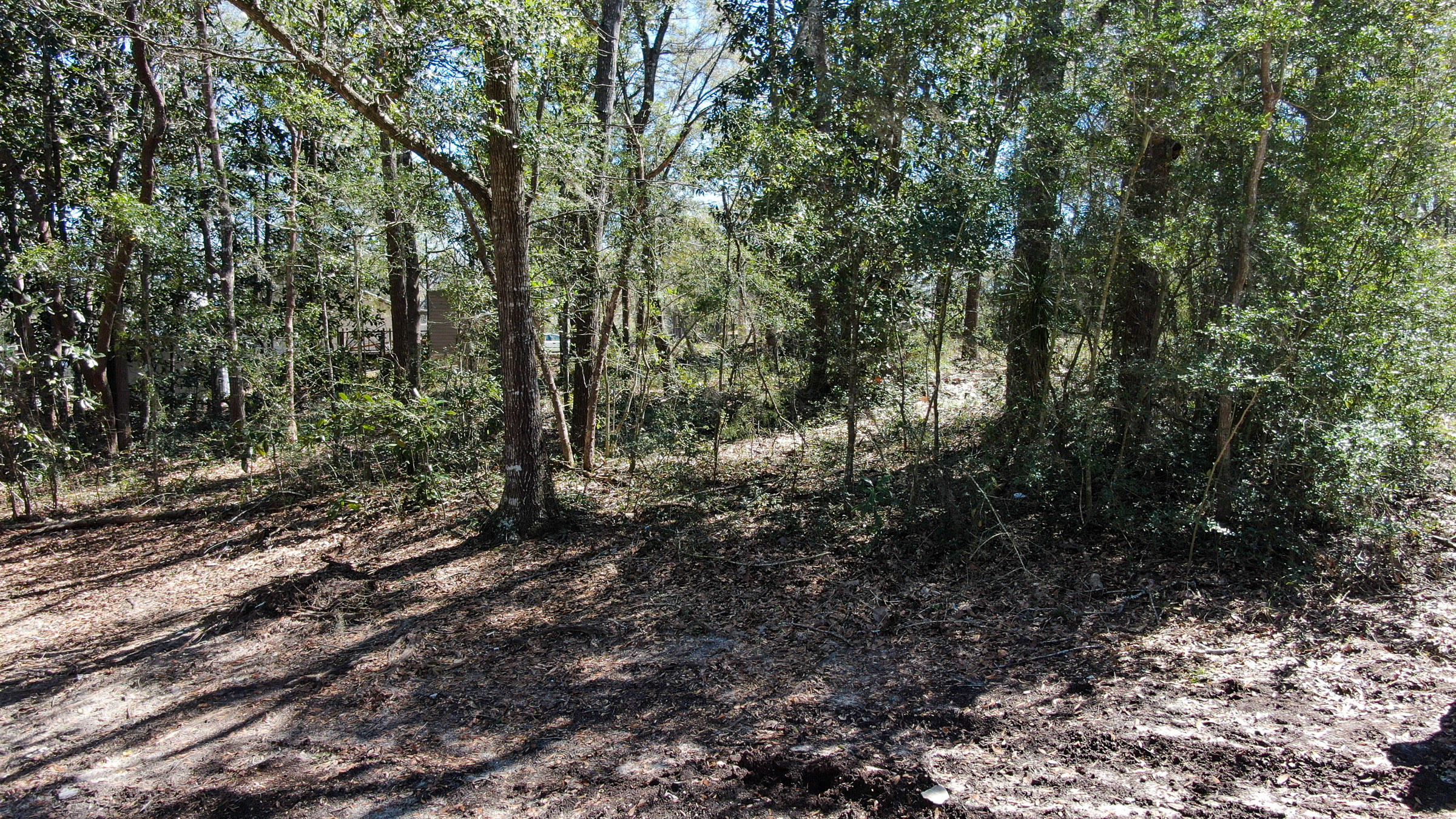 JUNIPER HILLS - Land