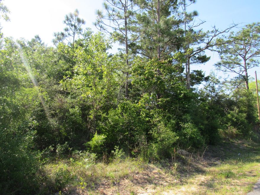 Large lot (.33) and no HOA! Mobile Homes are allowed here. Great location and paved road! Don't miss out on this great lot at a great price! No utilities on property at this time but there is public water and electricity on the road and you would need septic tank. Call for your tour today!