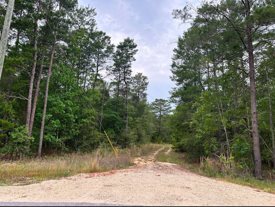 Excellent opportunity for your next home on this 4.9 acre property. This partially cleared parcel is located off of a paved road in the Mossy Head area of DeFuniak Springs. Easy commute to Interstate 10, Crestview, Eglin, Destin & beaches of South Walton. Mobile homes are allowed. Septic would be required.  Tap fee has not been paid up is available through Mossy Head Water. No restrictions or HOA.