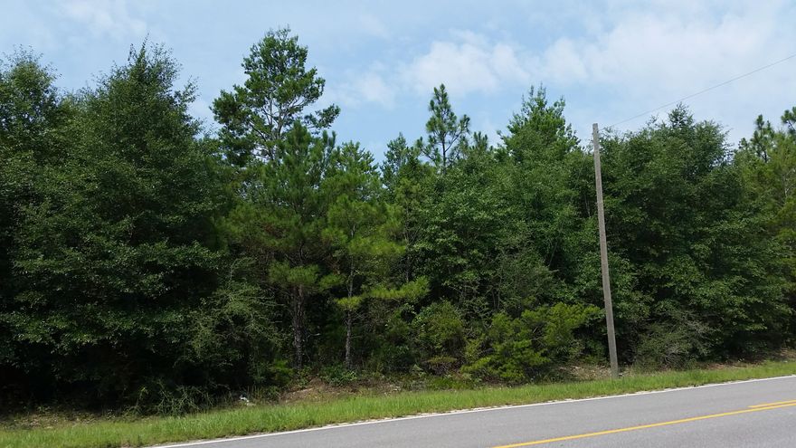 Just a short drive from I-10 in Mossy Head, this tranquil land is nestled in the woods down paved roads between Defuniak Springs and Crestview. From Mossy Head, you can also take Hwy 285 to Niceville or keep going down 85 from Niceville to Eglin AFB or Fort Walton Beach.