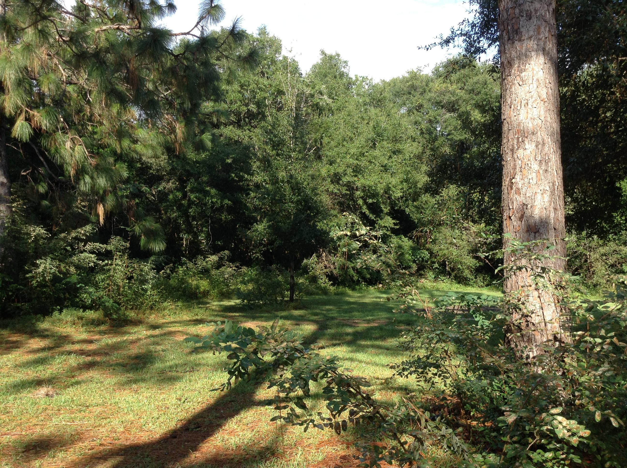 Oakdale Min/Farms - Residential