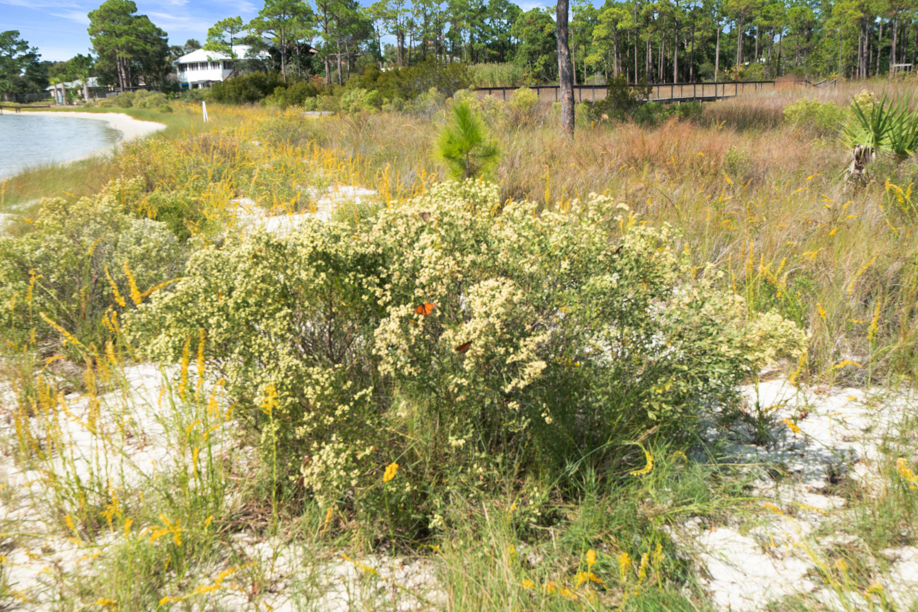 EMERALD POINTE PLAT 2 - Residential