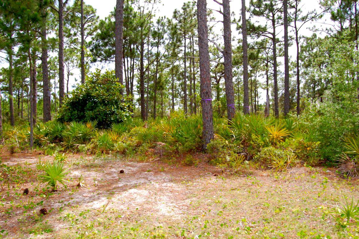 DRIFTWOOD ESTATES - Land