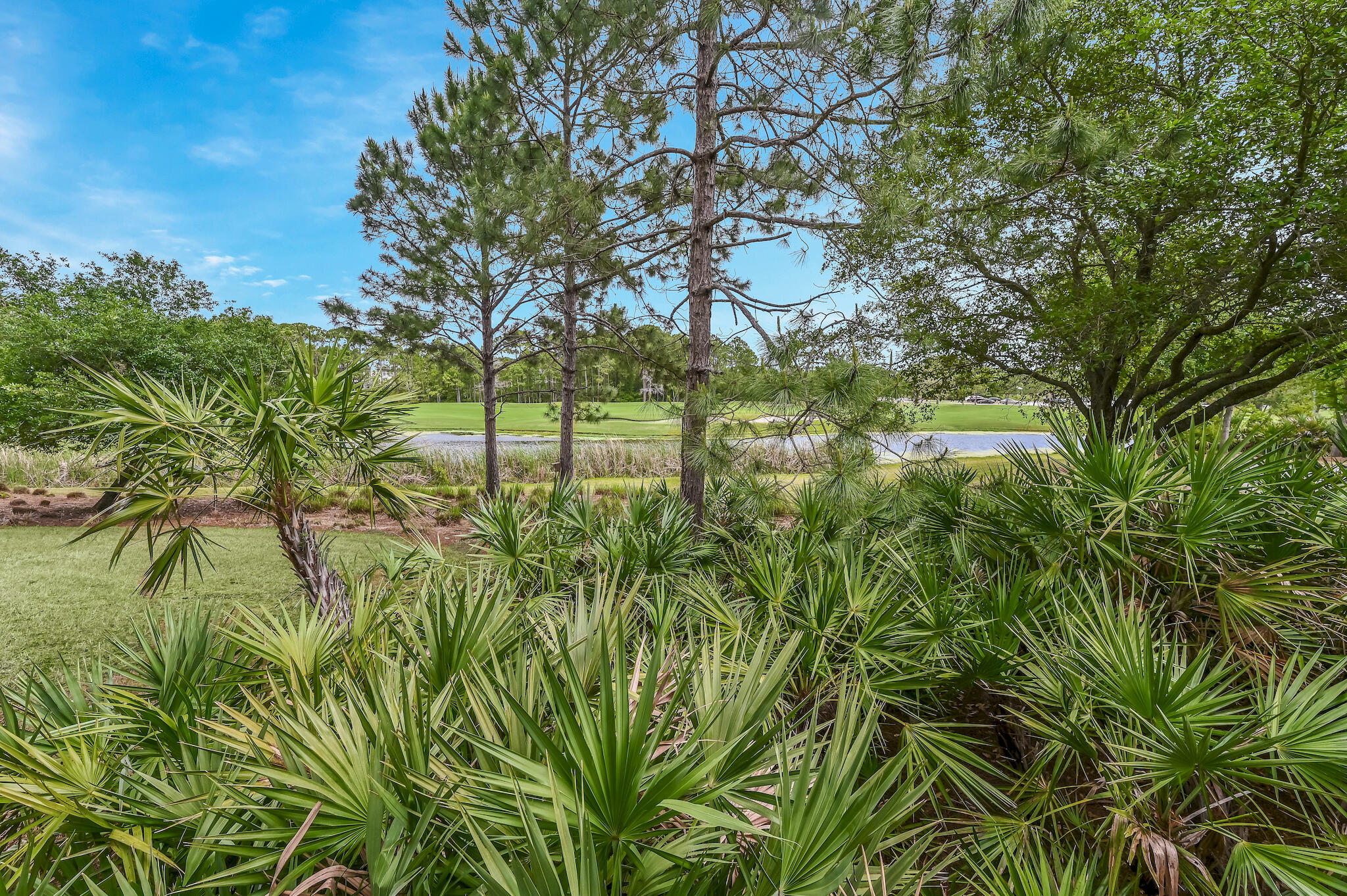 Elation - Residential