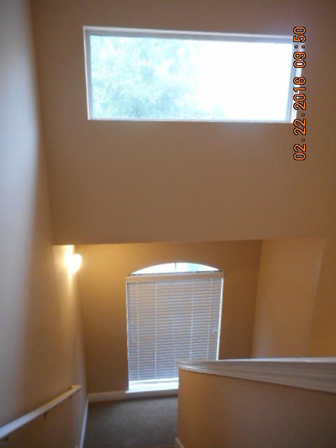 HADLEIGH HILLS - Residential Lease