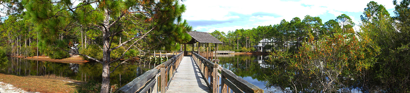 FOREST LAKES PH I Lot 3 - Land