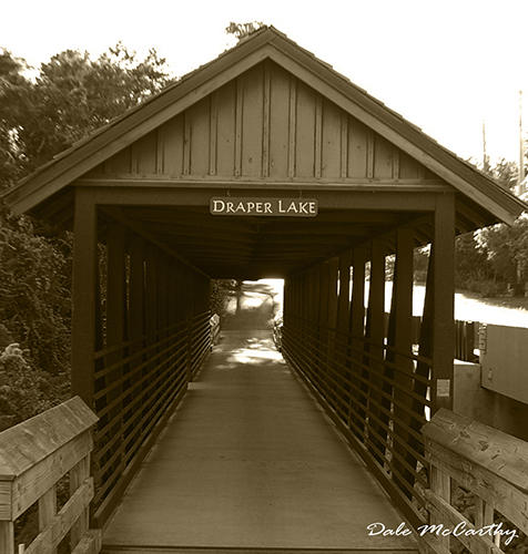 FOREST LAKES PH I Lot 3 - Land