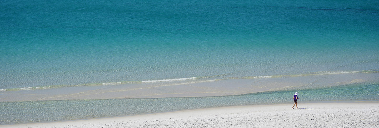 FOREST LAKES PH I Lot 3 - Land