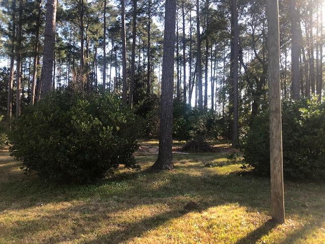 This half acre lot sits on a low-density paved dead-end road in beautiful Santa Rosa Beach! The lot is located only two miles north Of our beautiful white sandy beaches! Also two miles south there is Gulf Place, a community with restaurants and bars, shops, gift stores, bike & boat rentals, and so much more. You are close to publix, schools and the bay. This lot has so much to offer with such an amazing location!