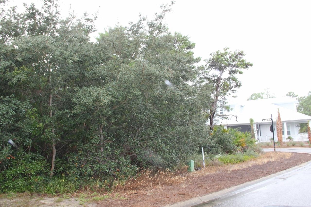 Lot 19 of St. Simon Circle is a large lot perfect for a larger home in the private gated beach community of Emerald Waters Village. This oversize lot is offers plenty of options for construction. The community offers a community pool and deeded beach access. This location is an outstanding opportunity for a rental investment property. Located just a short walk to the Gulf of Mexico and minutes from great shops and restaurants this is the ideal vacation destination.