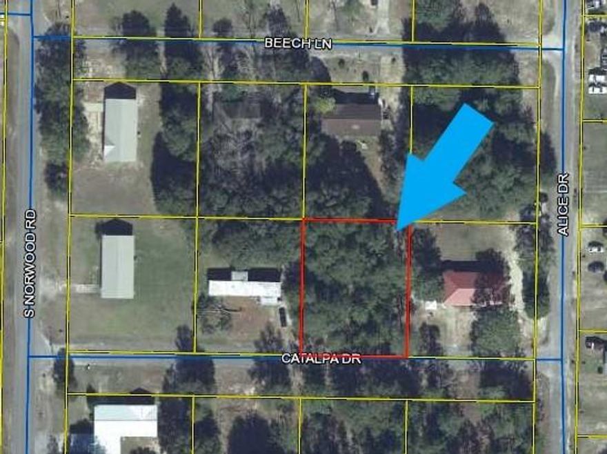 Lot for sale in Defuniak Springs, FL. Uncleared, utilities available, on paved paved road. Ready for you to build your new home.