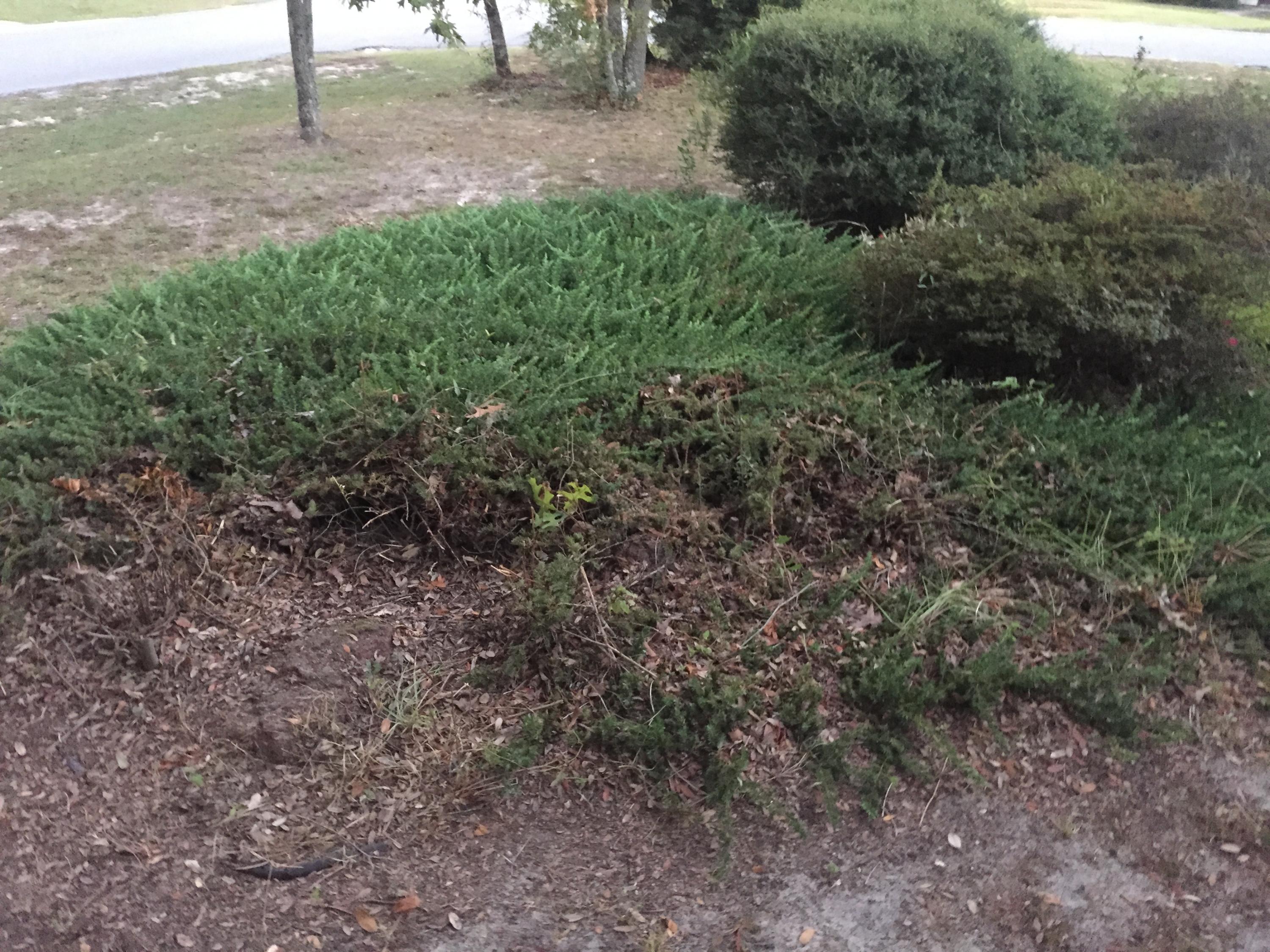 COUNTRYVIEW ESTATES 1ST ADDN - Residential