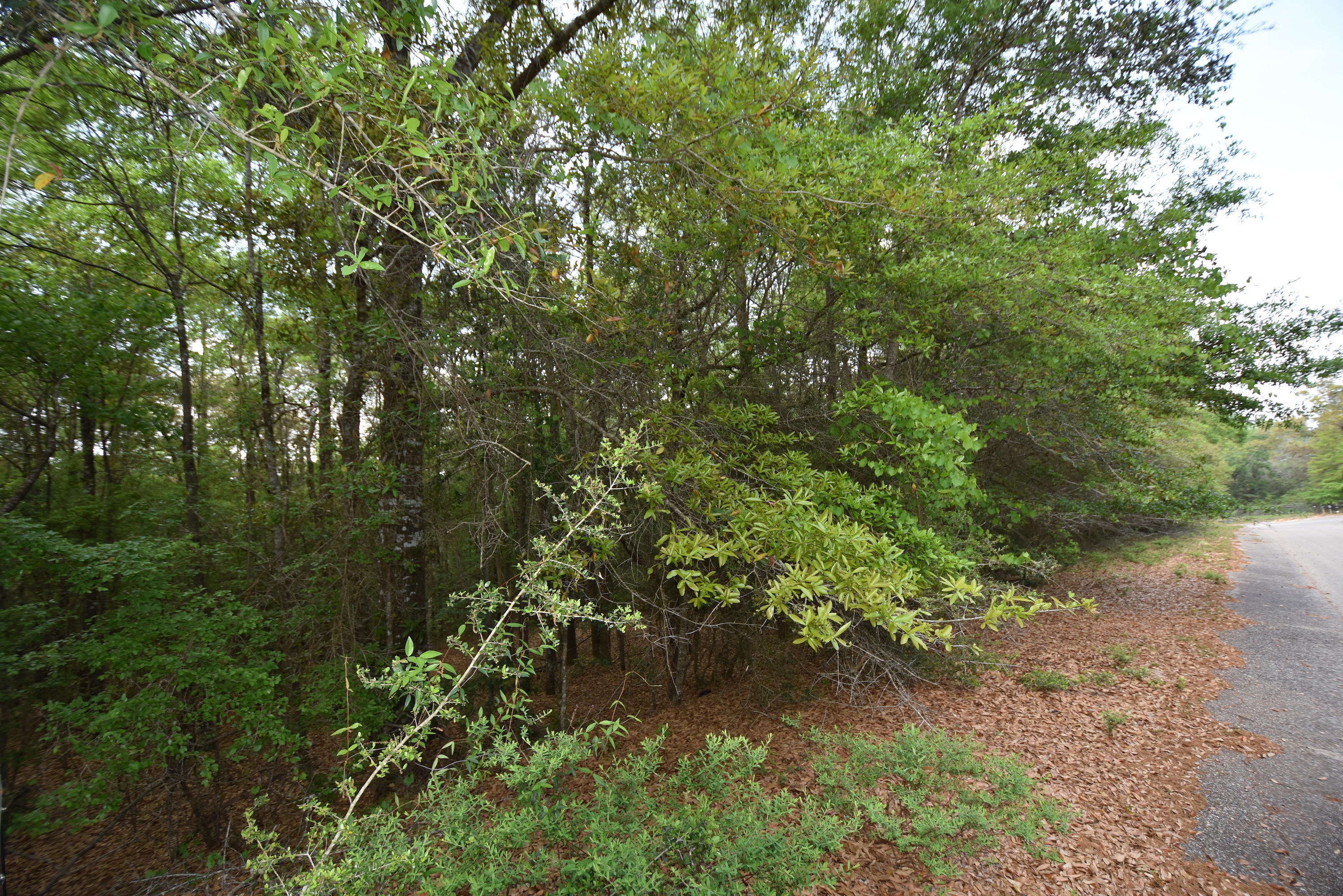 Mathison Creek Est @ Kennedy Lakes Ph 2 - Land