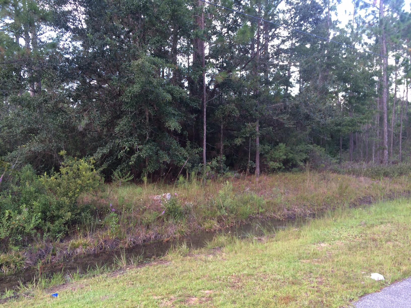 HOLLEY BY THE SEA - Land