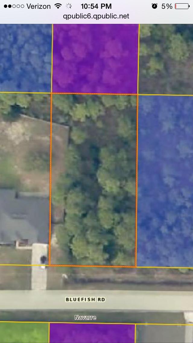 HOLLEY BY THE SEA - Land