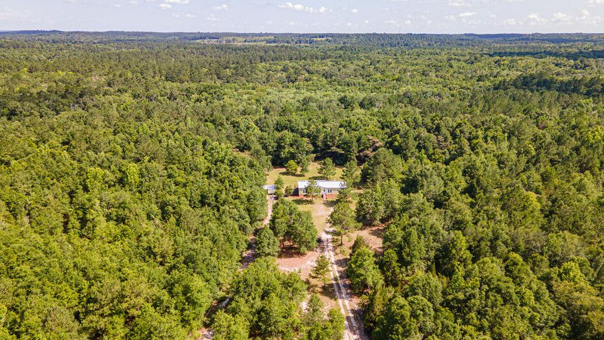 NATURE RETREAT with 42+ Acres adjoining the NWFL Water Management Land!  Gorgeous wooded setting with a modern, 4-Bedroom home with an open floor plan & split bedroom design. Glorious natural light, large windows with transoms, crown moulding throughout, no carpet and great kitchen for entertaining!  Wood burning Fireplace creates a cozy Family Room. Great back deck to relax after a day of exploring the forest in your backyard. Hardi-plank siding and metal roof for years of almost  maintenance-free exterior. Shed has shelving, power & shelter for equipment.  Private well with crystal clear, cold water.  County maintained paved road to property with little traffic.  Quiet location for the Nature Enthusiast. River, Creeks & Springs close by for fishing, diving, kayaking & tubing!  Paradise!