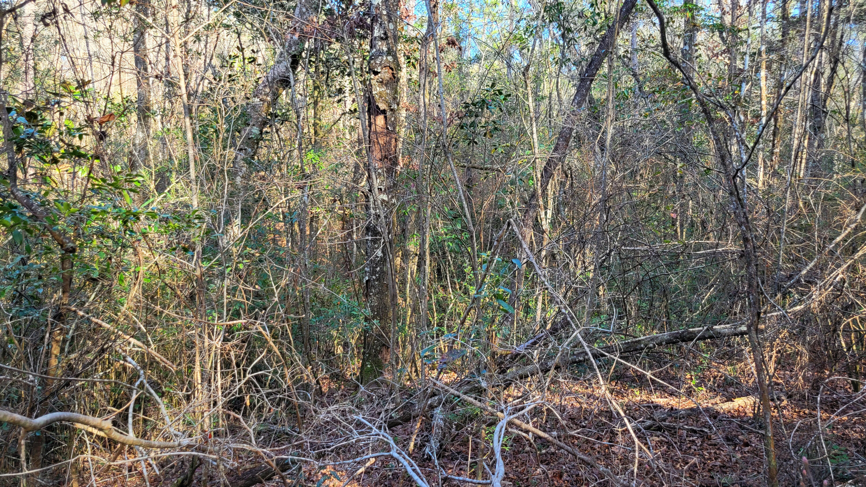Wilson  Estate North - Land