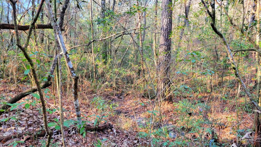 A Little Creek runs through it!  This property is accessible on a paved county road.  Property has access to electricity. Property zoned Rural Residential. This property strategically located approximately 6 miles from Blackstone Golf Course and Mossyhead Elementary School, 7.5 miles from I-10 exit 70, 8.5 miles from Emerald Coast Zoo, 32 miles from Eglin AFB, 30 minutes to the beautiful beaches of the Emerald Coast, and approximately 30 minutes to Crestview and Defuniak Springs, Florida, with plenty of shopping opportunities, as well as, access to 2 regional hospitals! This one is a must see!*All mileage is approximate. Buyer to verify all information.