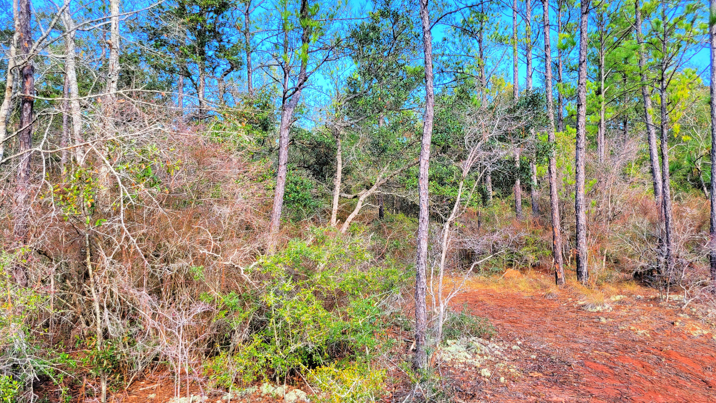 Wilson  Estate North - Land
