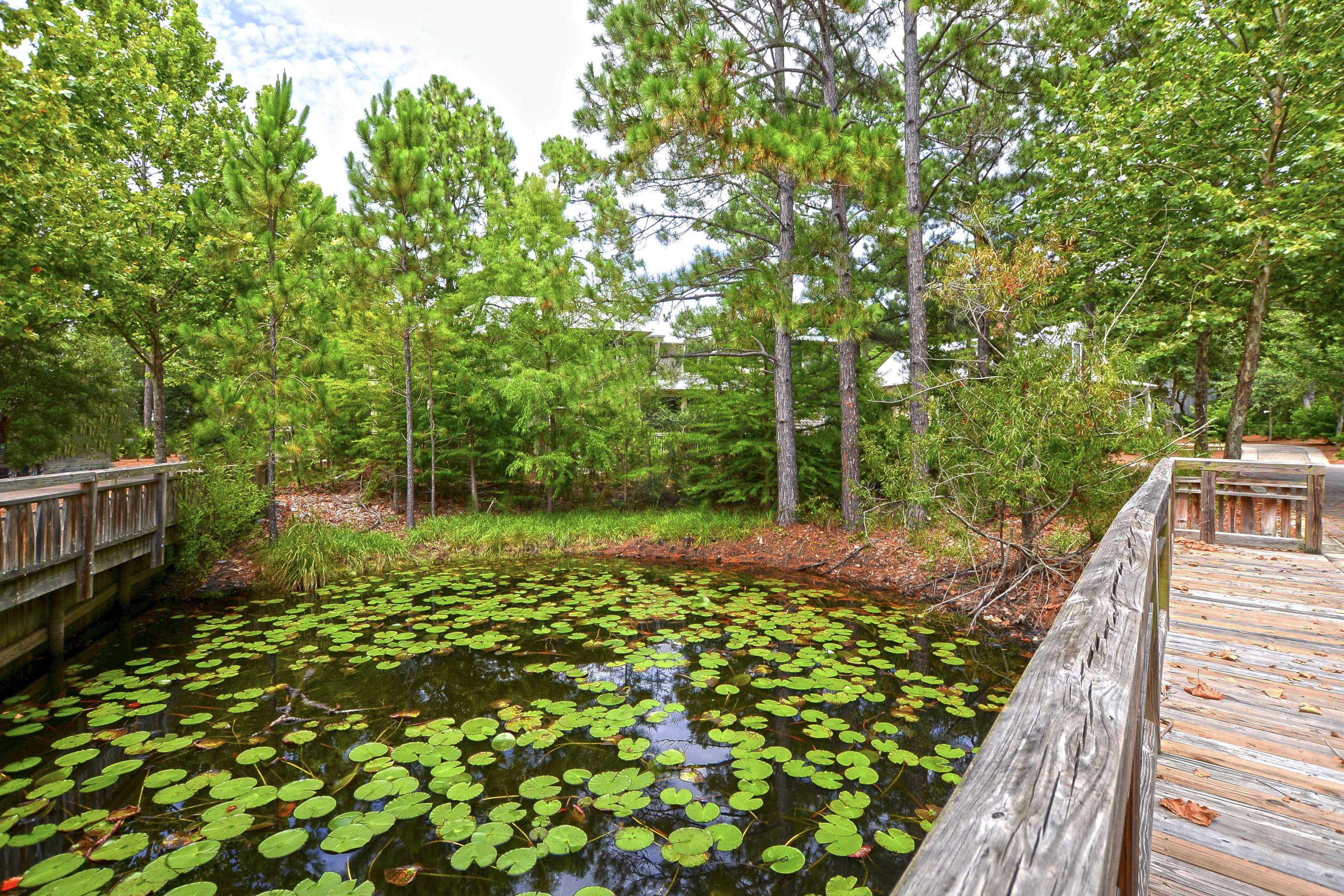 FOREST LAKES PH I - Residential