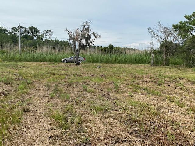 LAGRANGE BAYOU UNREC - Land