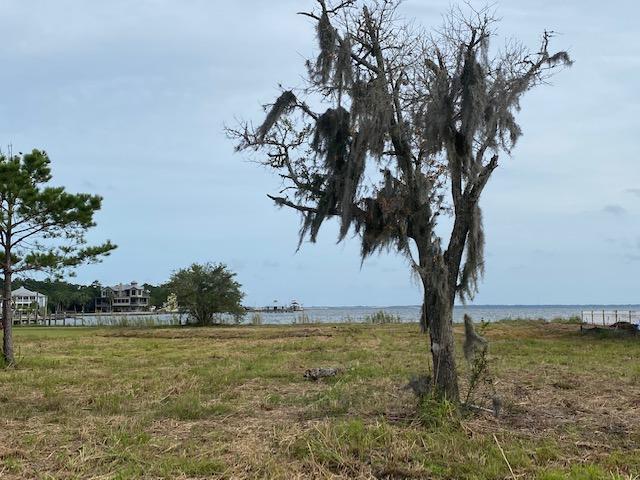 LAGRANGE BAYOU UNREC - Land