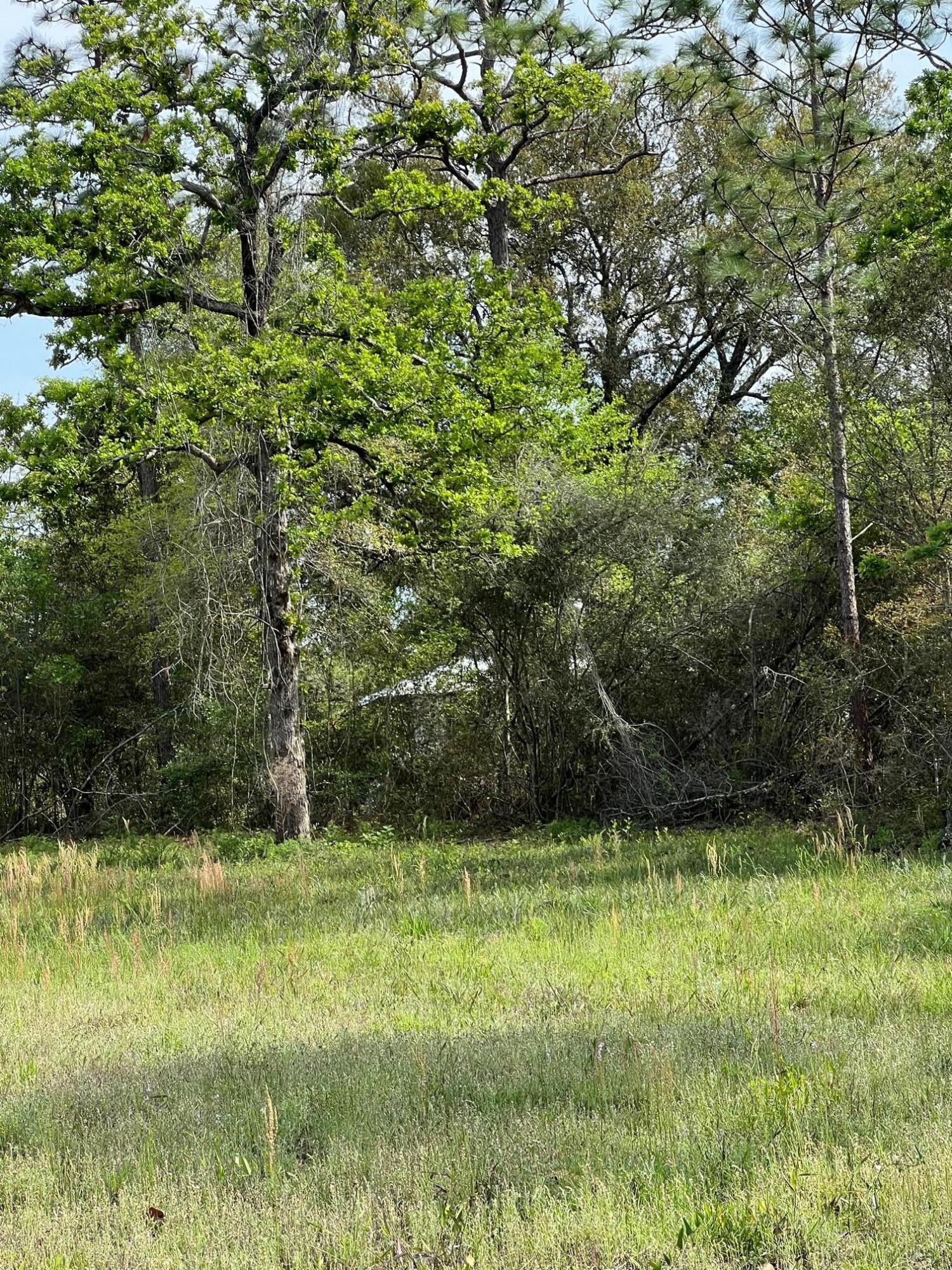 Pinewood Acres - Land