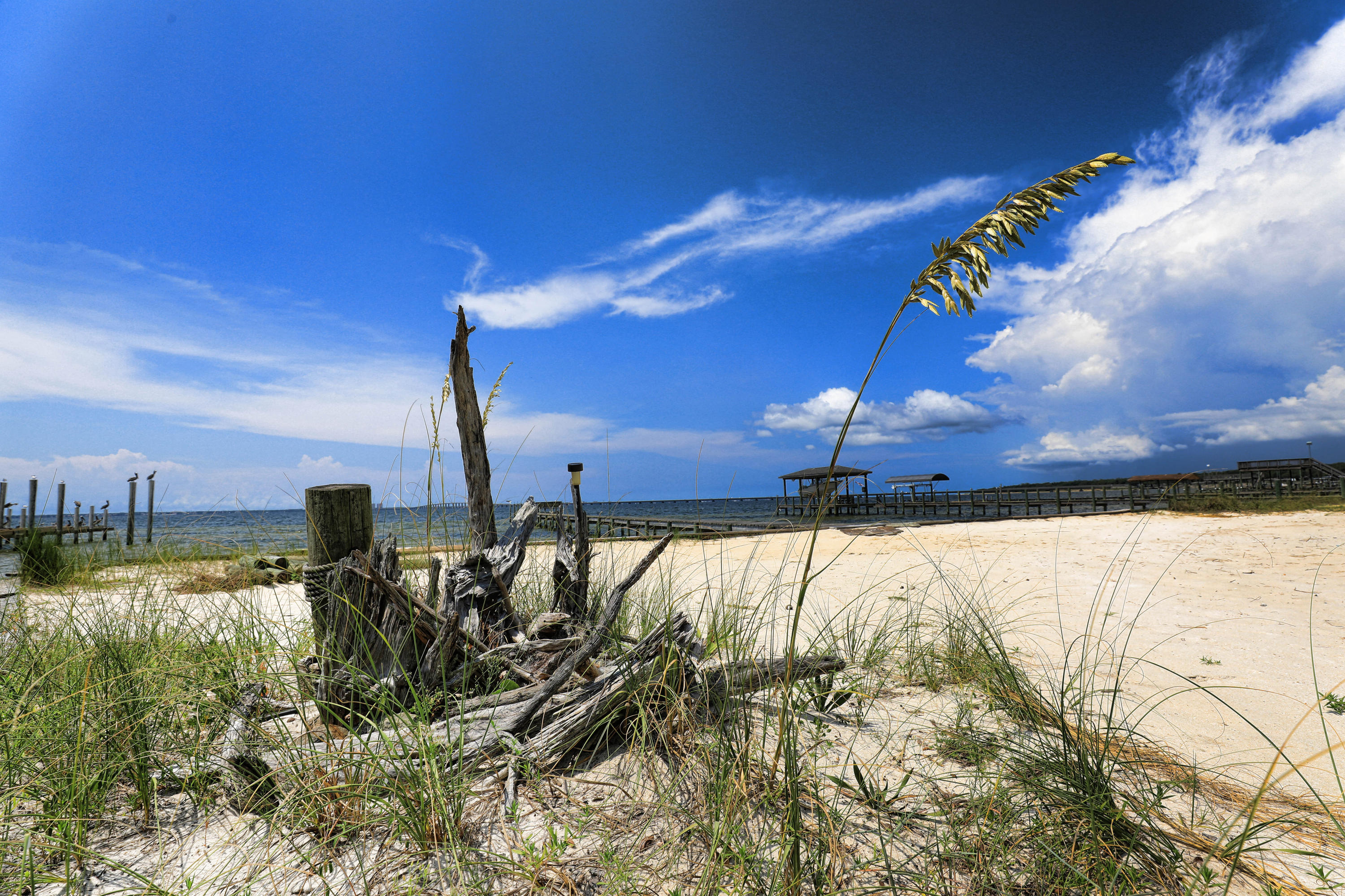 LAKE PIPPIN - Residential